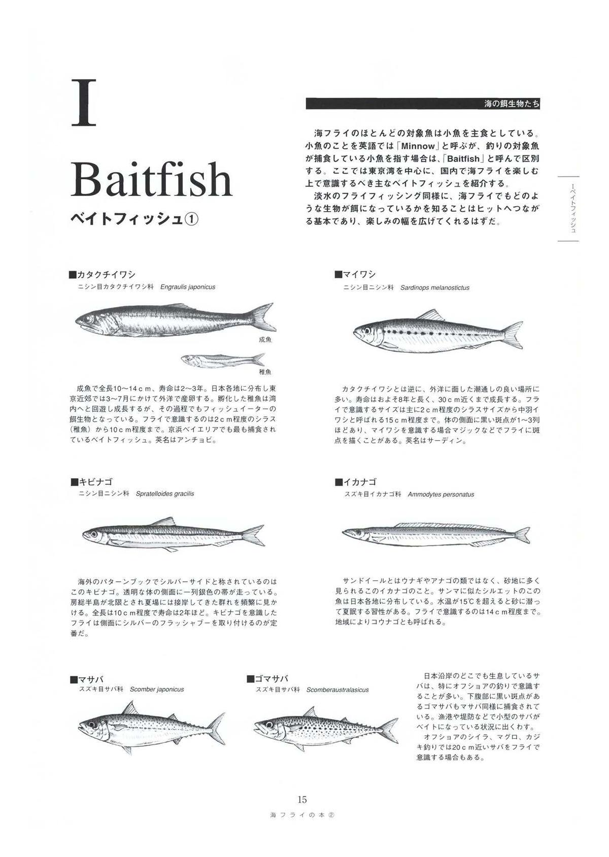 海フライの本2 はじめての海フライタイイング パターンbook 電子版 有限会社フライの雑誌社 海フライの本2 はじめての海フライタイイング パターンbook 電子版 有限会社フライの雑誌社