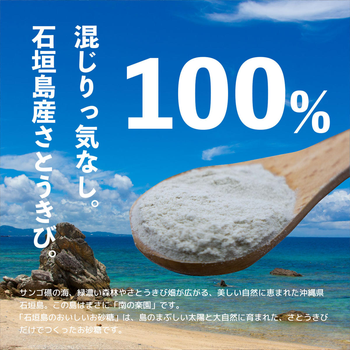 ー品販売 沖縄県石垣島よりお届けします 石垣島産さとうきび100 石垣島のおいしいお砂糖 3ｇ Idvn Com Vn