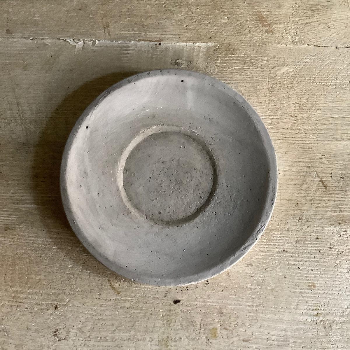 Kalanchoe Beharensis カランコエ ベハレンシス Blossom On