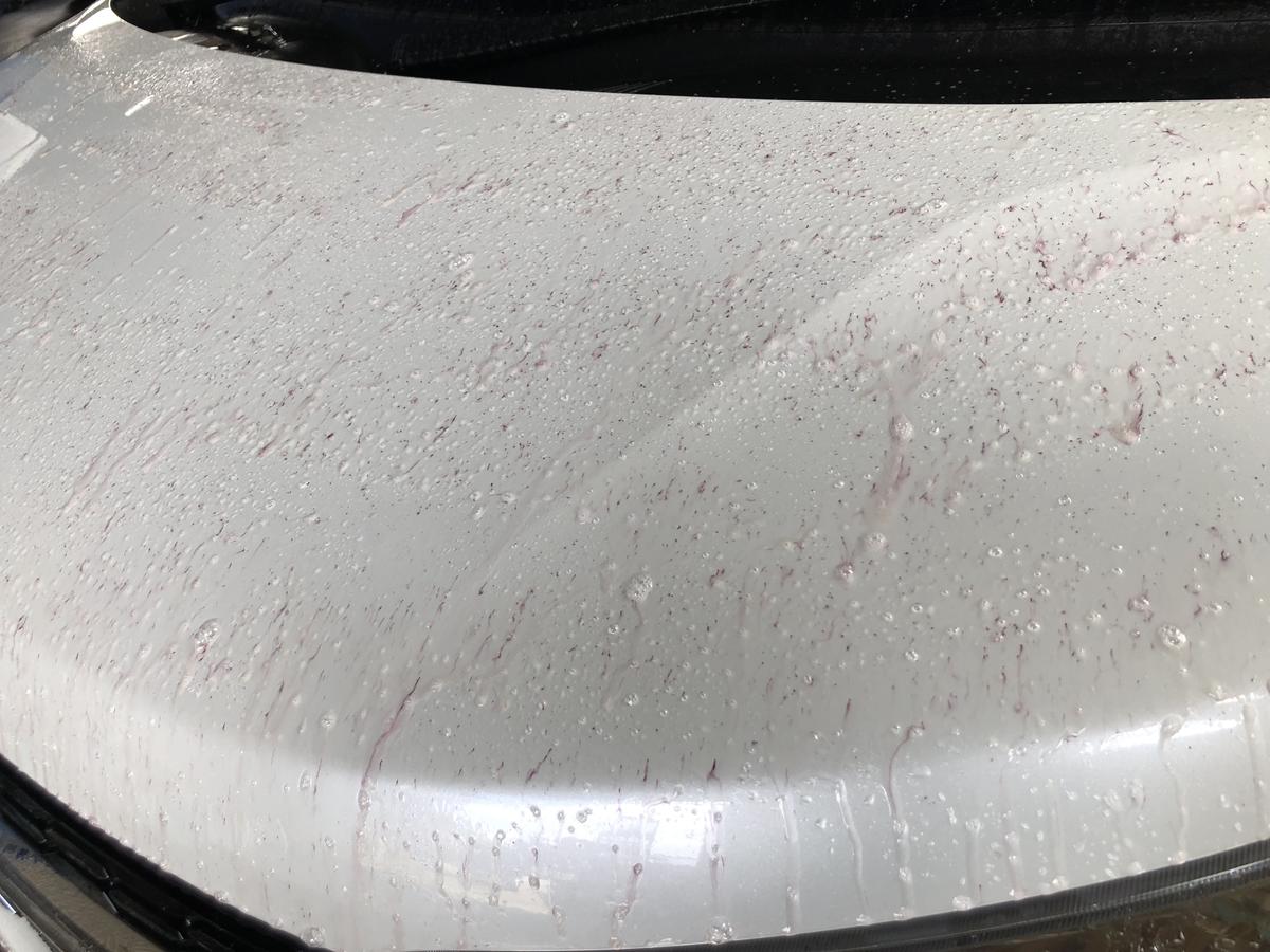 Spashan 鉄粉除去の必需品 Dr ケアコレ アイアンバスター3 500mlスパシャン