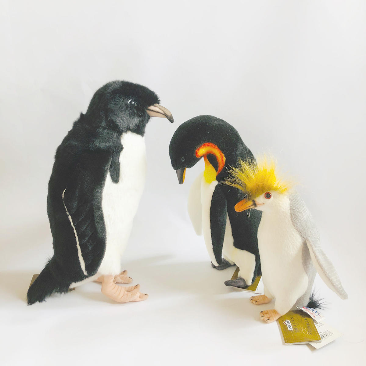正規品 イワトビペンギン消しゴム Materialworldblog Com