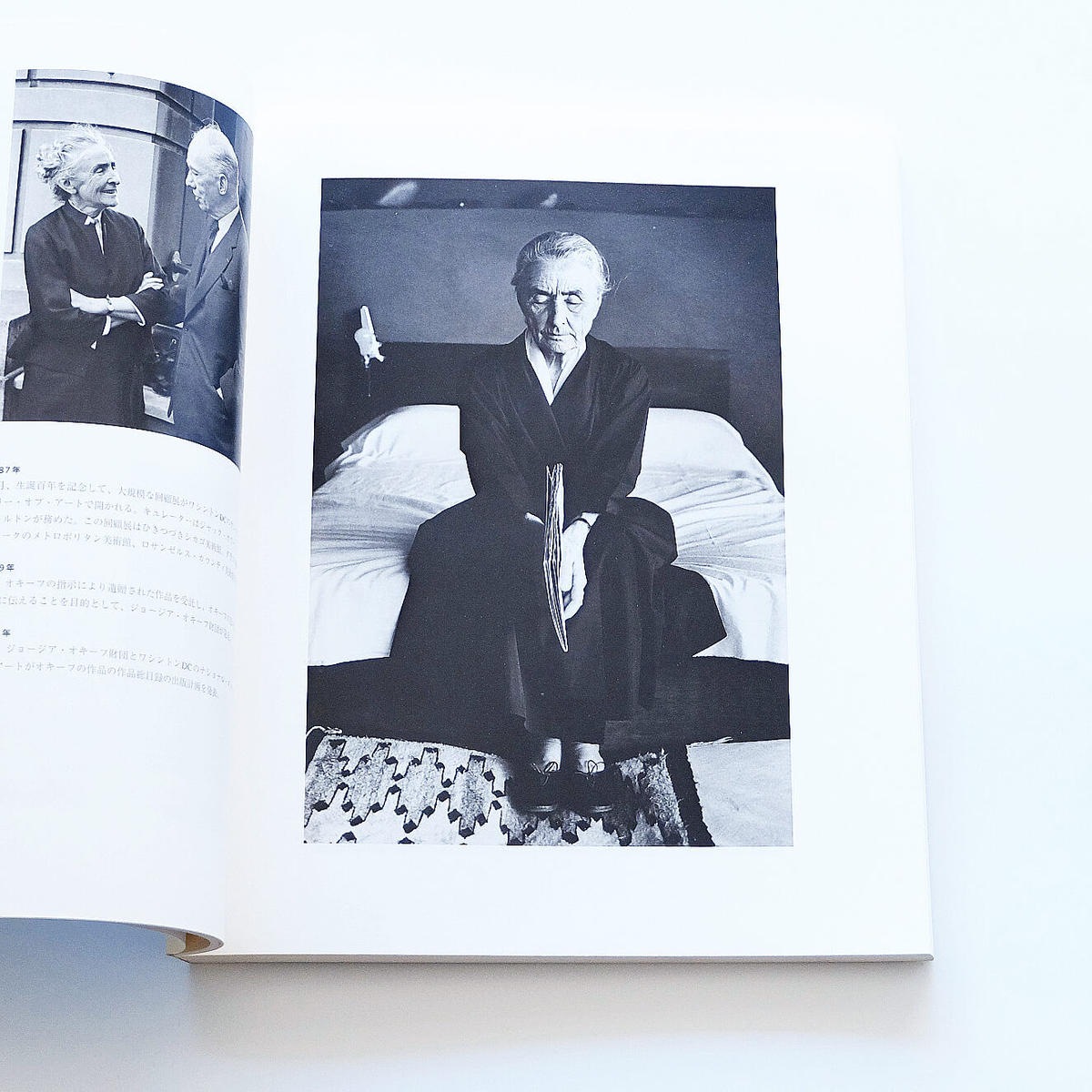 Georgia O Keeffe American Modern Book Ernest