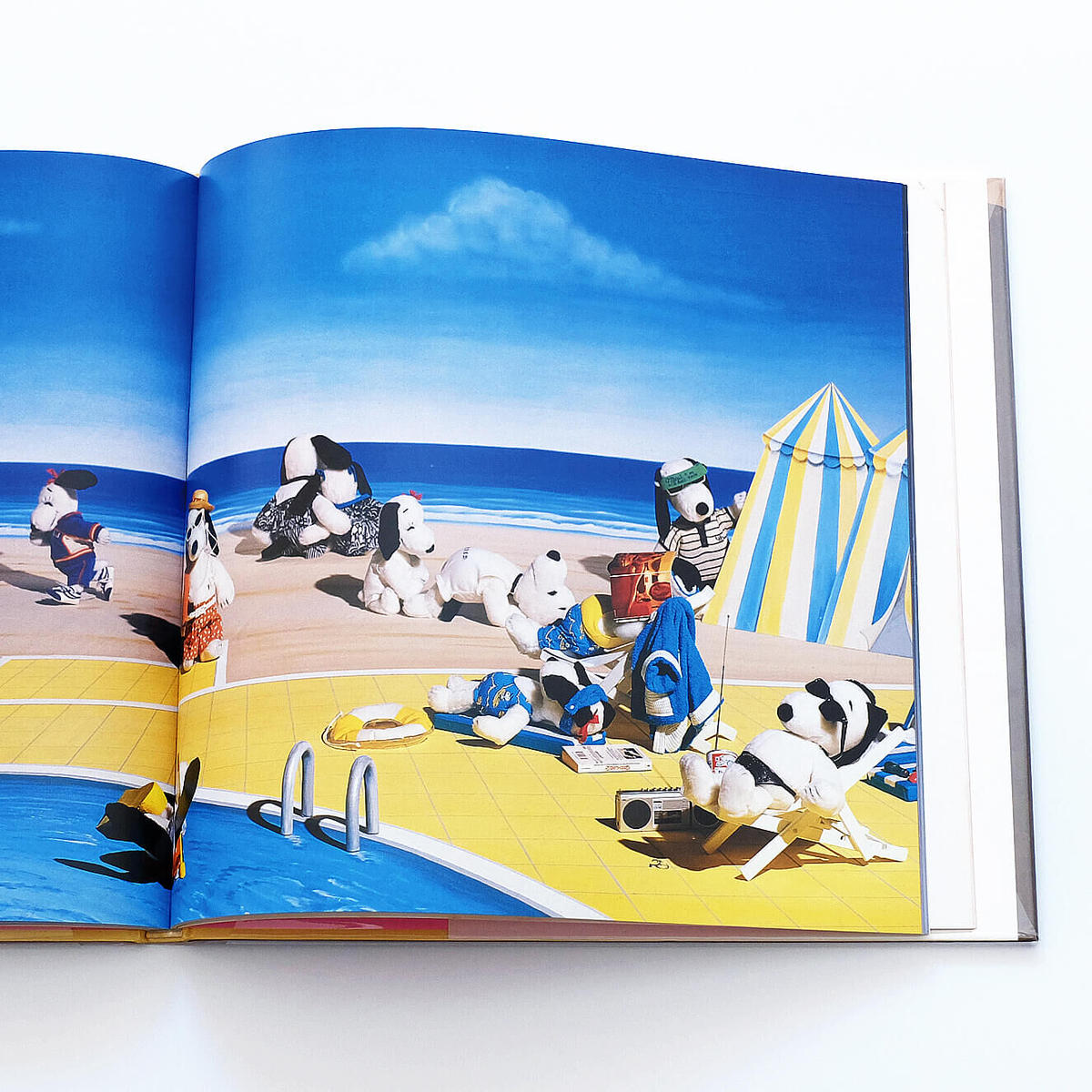 Snoopy in Fashion | Book Ernest