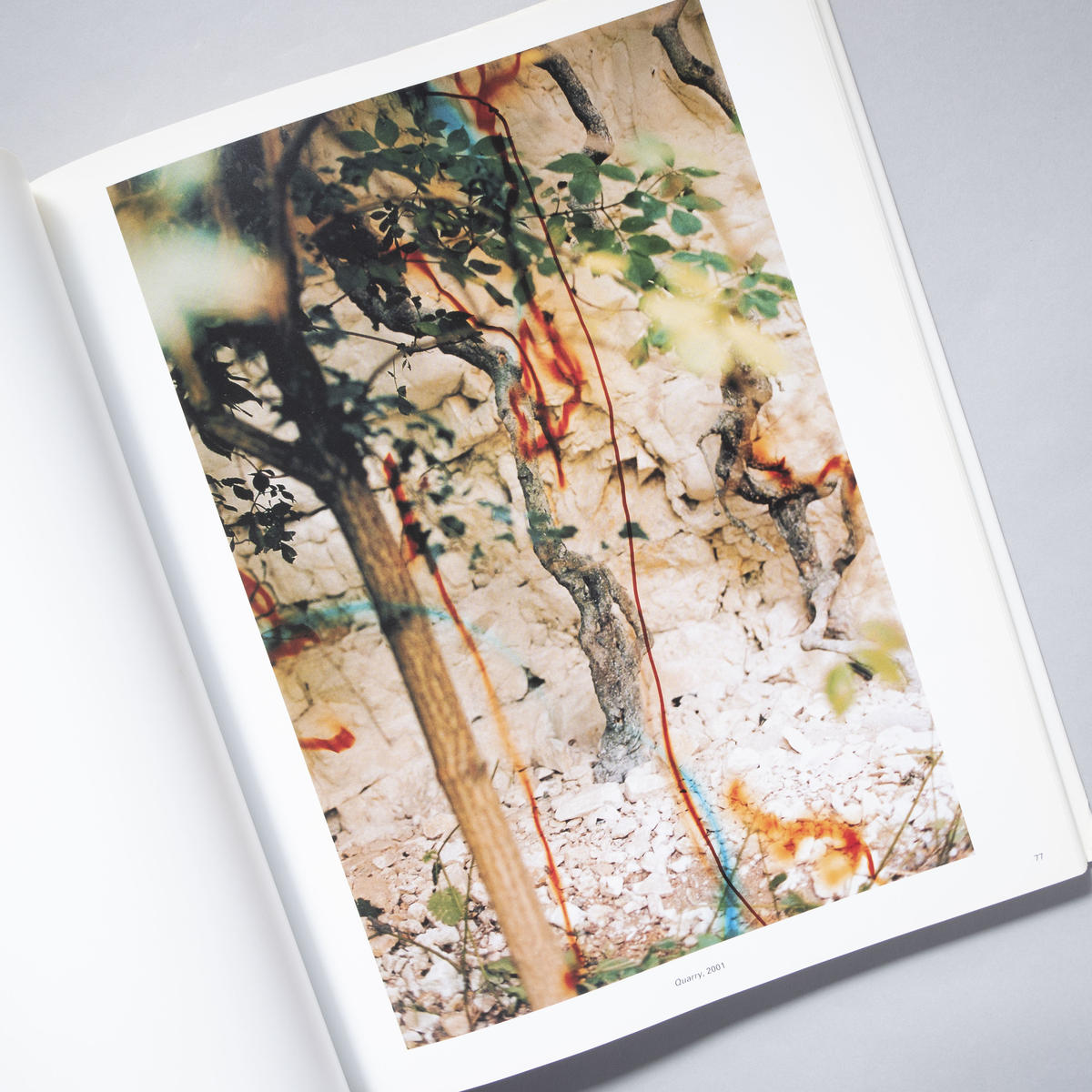 View From Above / Wolfgang Tillmans （ヴォルフガング・ティ...