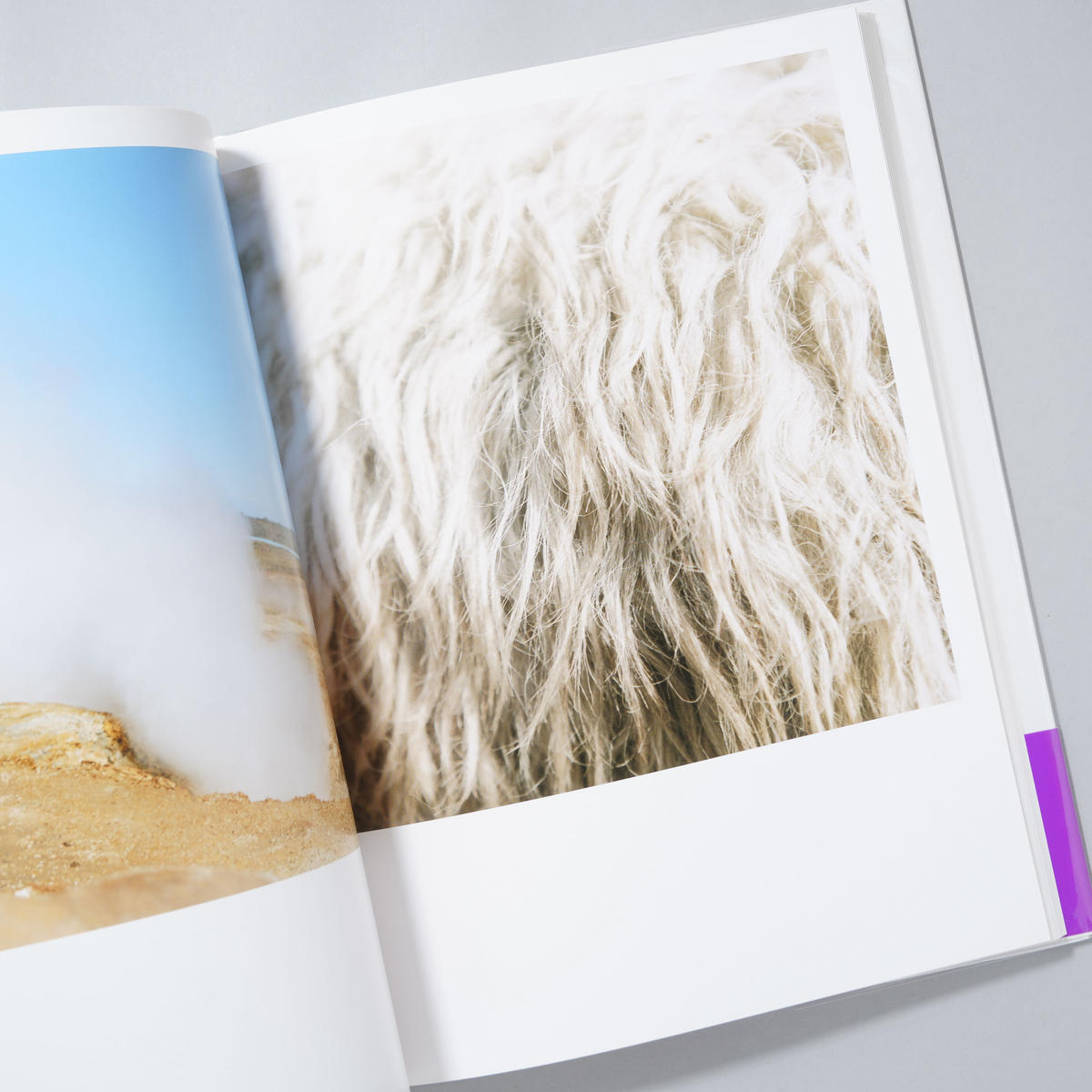 Aila : 川内倫子写真集 rinko kawauchi