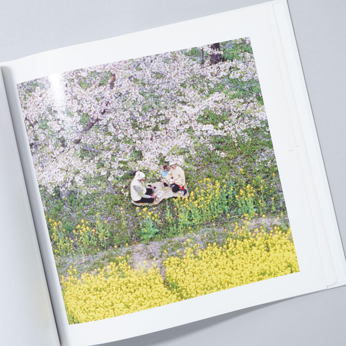 サイン本】松江泰治 cell | fpac.com.br