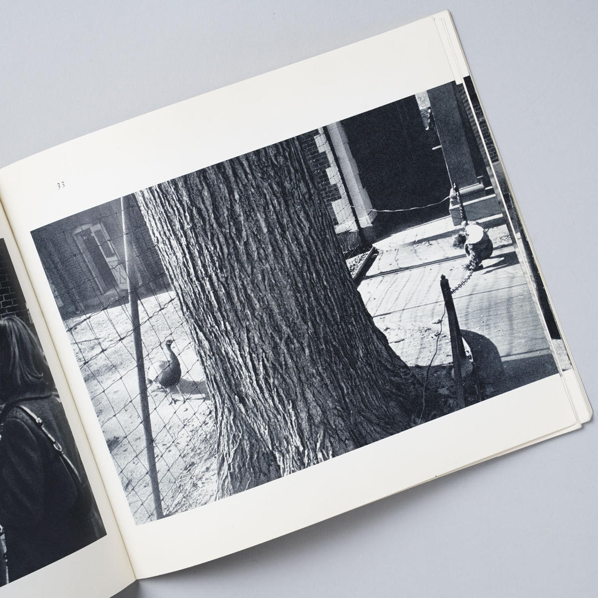 希少❗️写真集　Garry Winogrand(ゲイリー・ウィノグランド) 希少️写真集 Garry Winogrand(ゲイリー・ウィノグランド