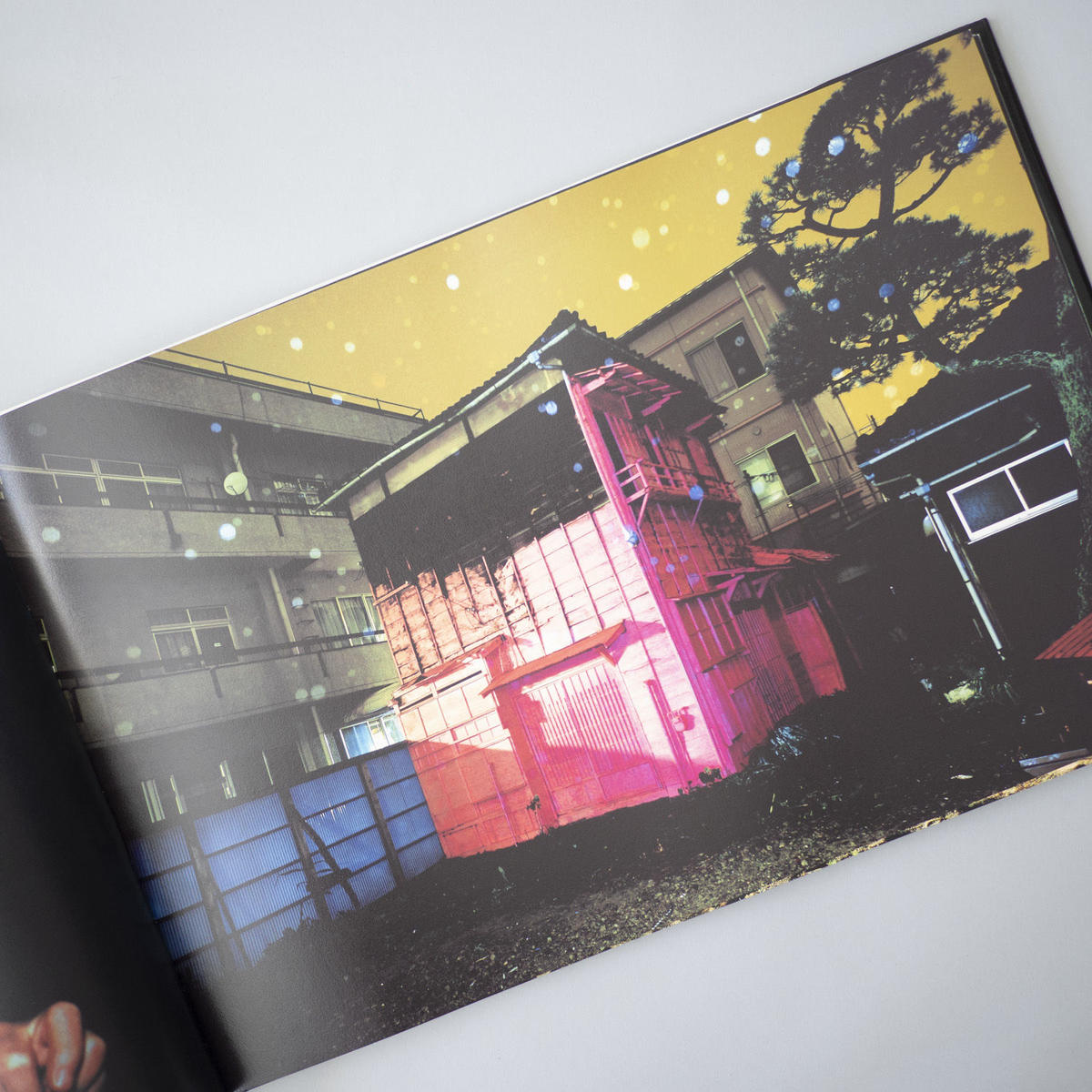 CANARY(カナリア) 志賀 理江子 絶版写真集