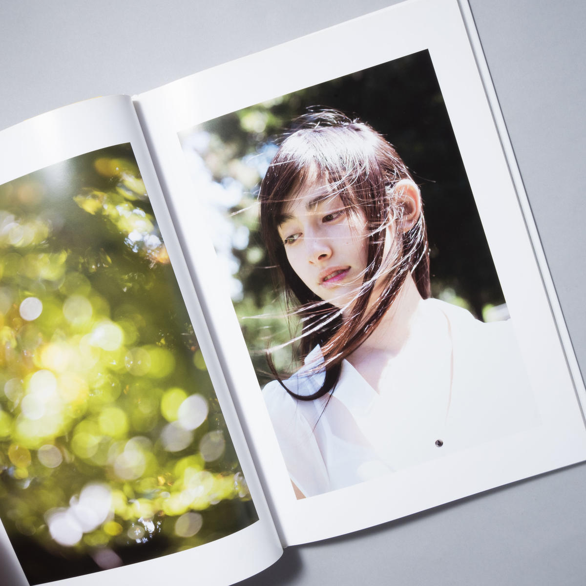 Spring Ephemeral 新津保建秀 Kenshu Shintsubo 早見