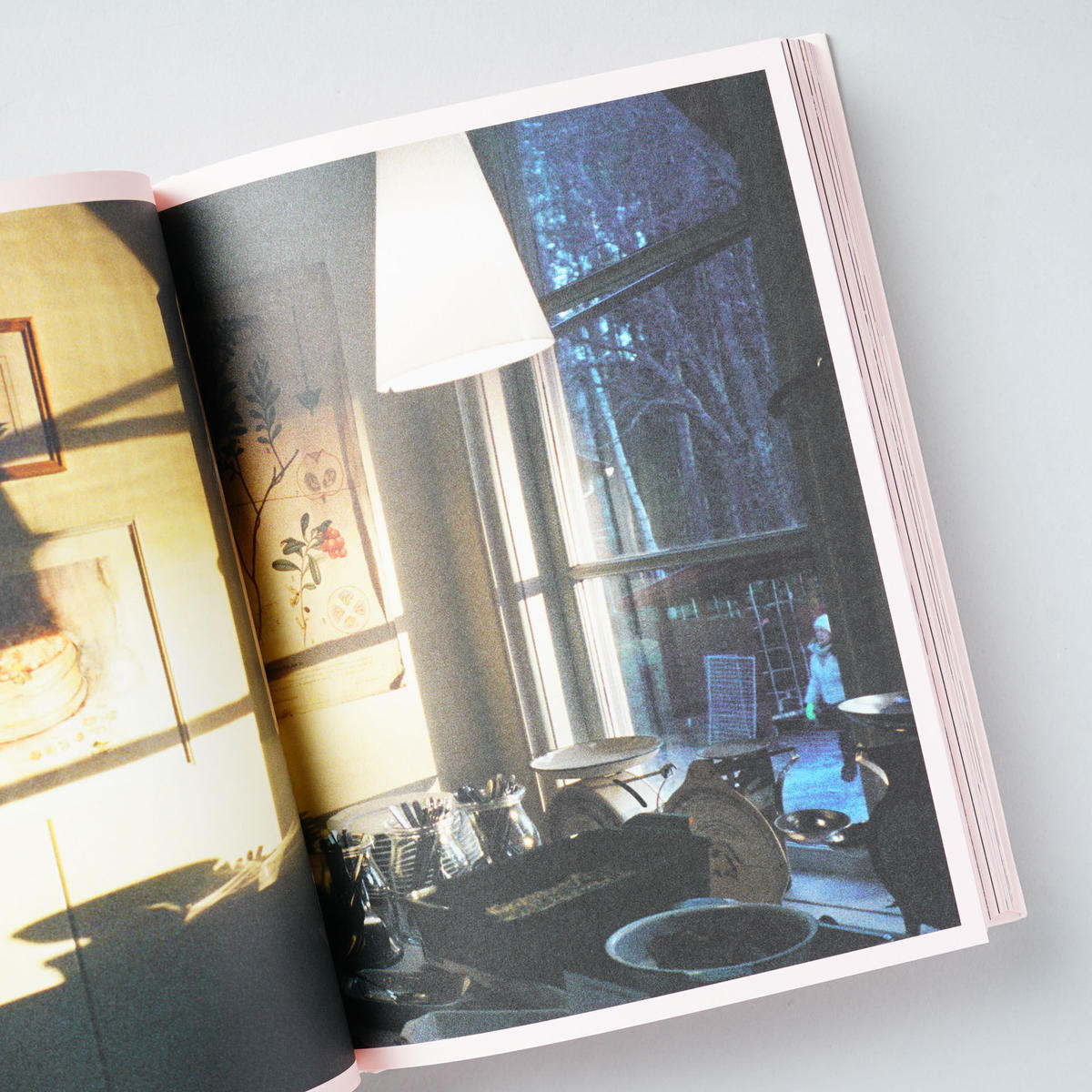 [特装版 ピンク/Special Editions, pink] The Good Side