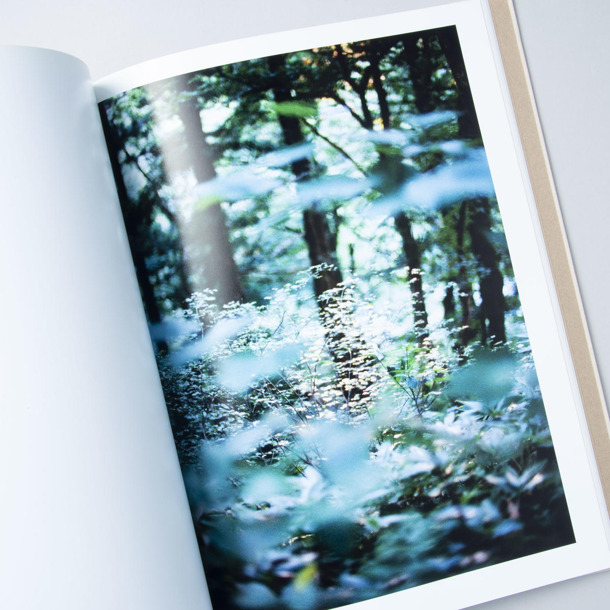The New Story  奥山　由之 THE NEW STORY／奥山由之 | ON THE BOOKS