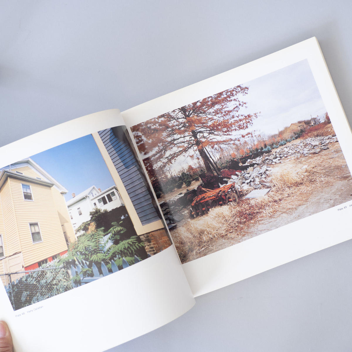 The New Color Photography Edit:Sally Eauclaire(サリー・オークレア)