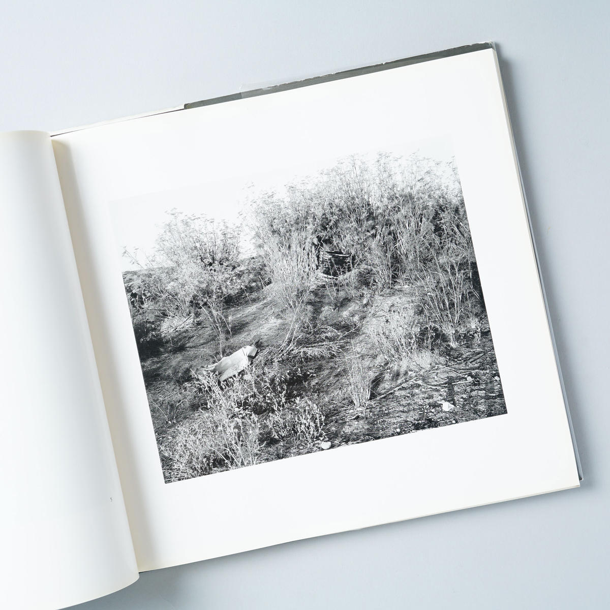 San Quentin Point Lewis Baltz ルイス ボルツ Boo