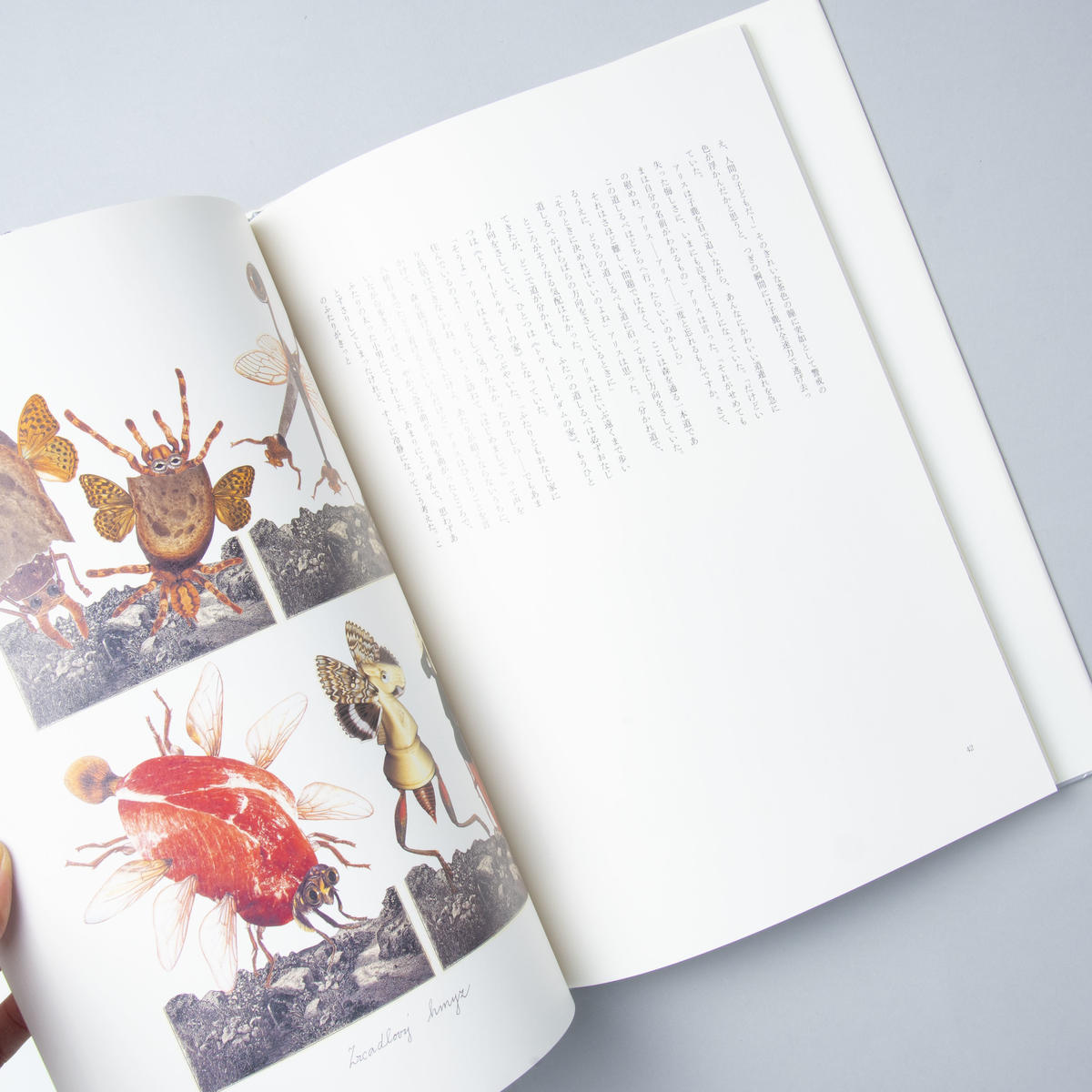 鏡の国のアリス 著 ルイス キャロル 画 ヤン シュヴァンクマイエル Book Ob