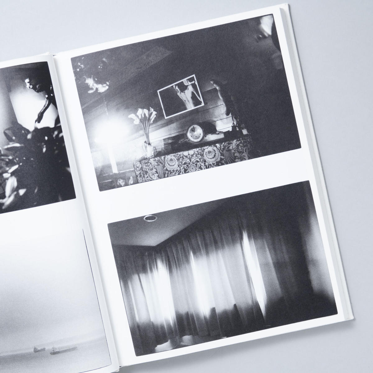野村佐紀子　NUDE / A ROOM / FLOWERS 野村佐紀子: NUDE/A ROOM/FLOWERS | Sakiko Nomura: NUDE/A ROOM