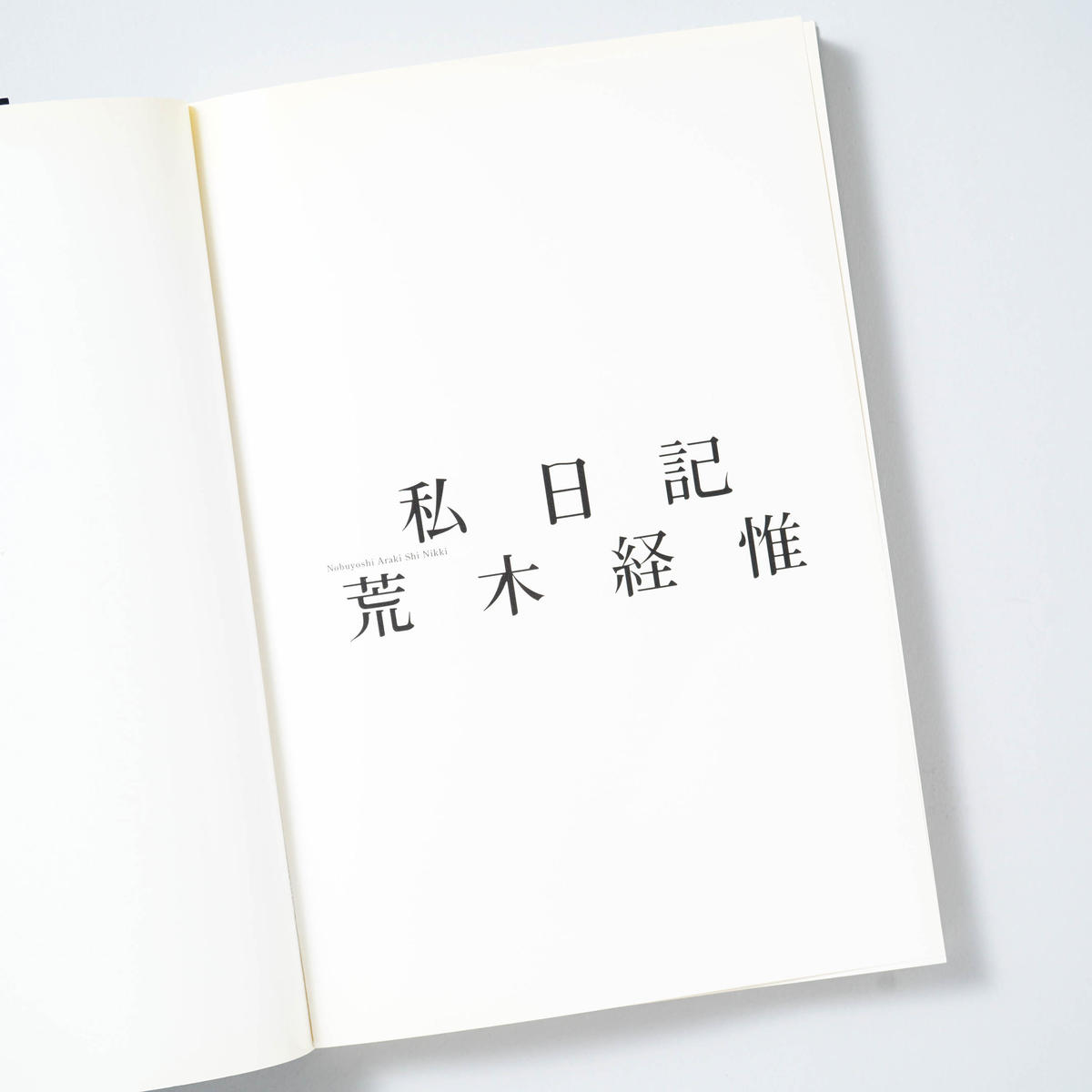 ブルー×レッド 荒木経惟 私日記 限定1000部 - 通販 - casapatiobolivia.com