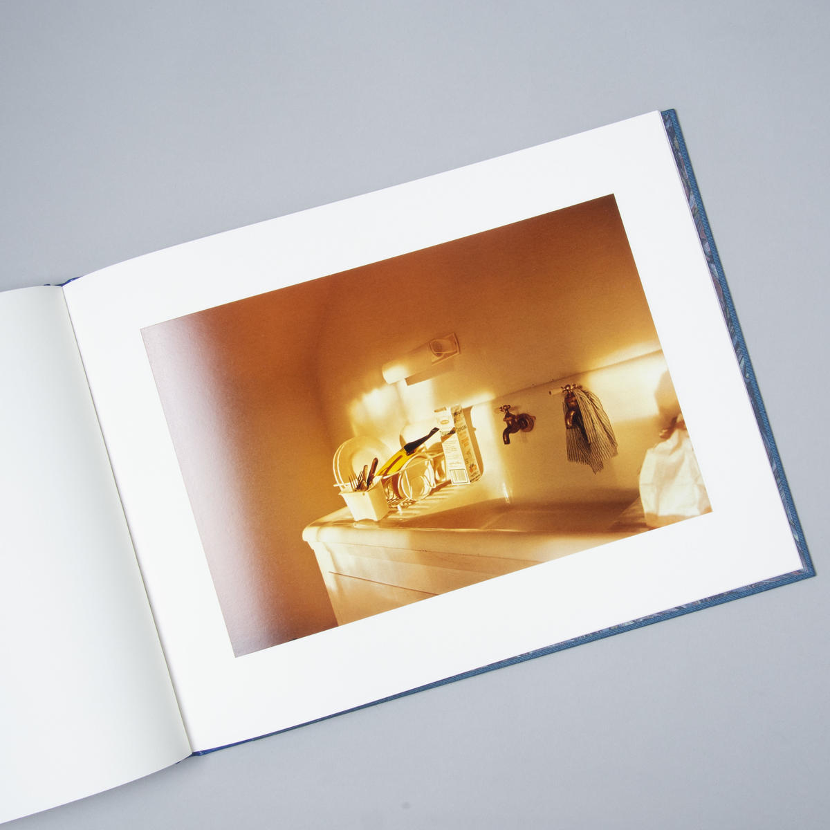 [新刊] Morals of Vision / William Eggleston（ウィリアム...