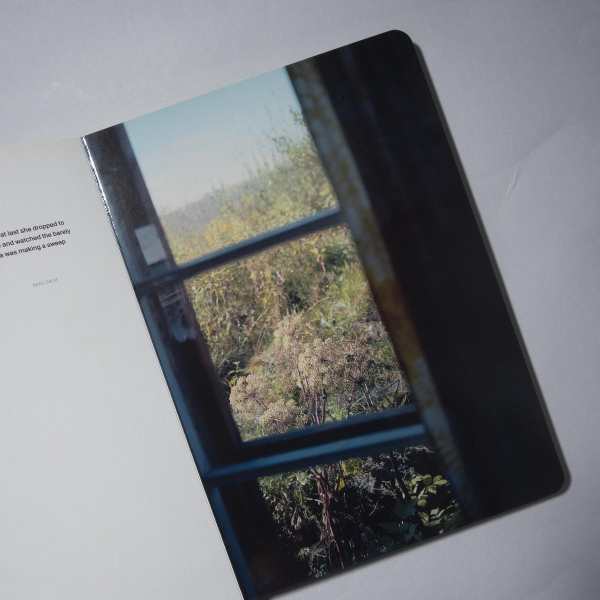 A Song for Windows / ホンマタカシ (Takashi Homma)