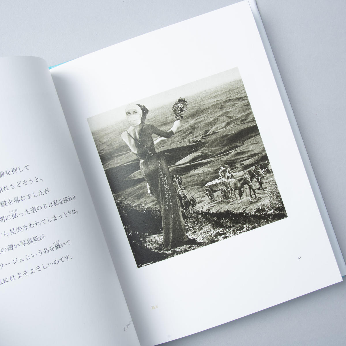 岡上淑子 全作品 The Complete Works of Toshiko Okanoue collage