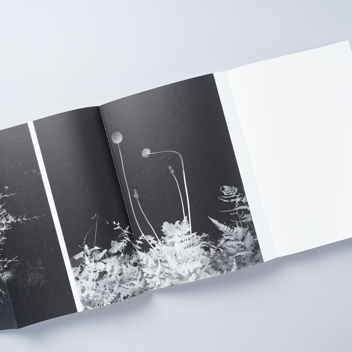 サイン入・新刊/Signed・New] SOMEWHERE NOT HERE / 渡部敏哉