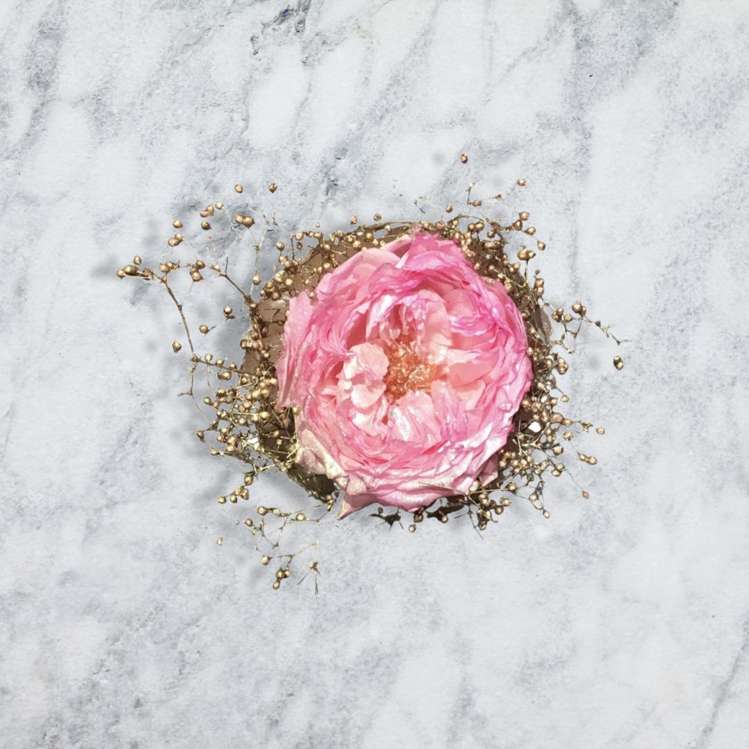 サークル&レリーフL①／ーフローラル&ハーブ香りー／ WAXBAR® BOTANICAL