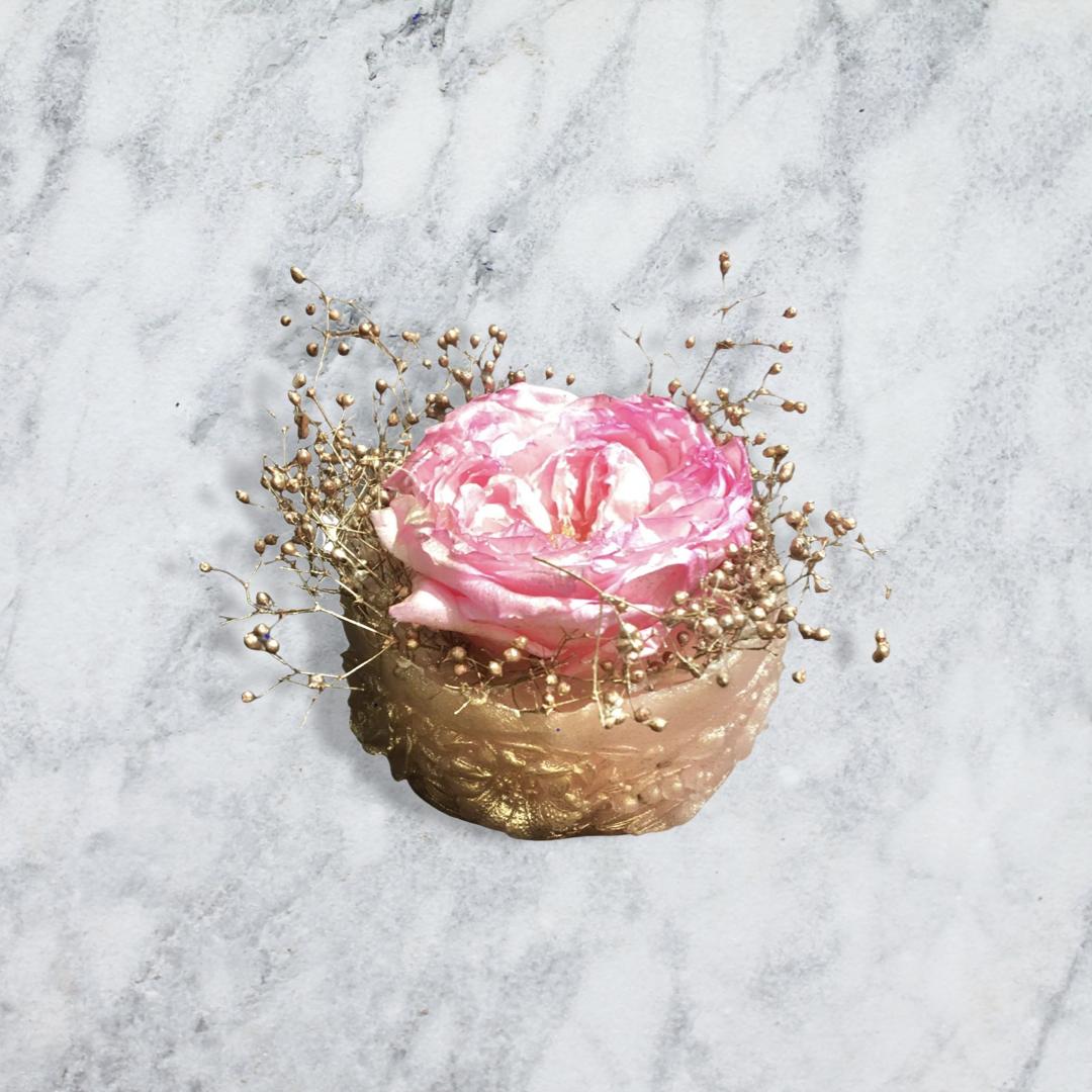 サークル&レリーフL①／ーフローラル&ハーブ香りー／ WAXBAR® BOTANICAL