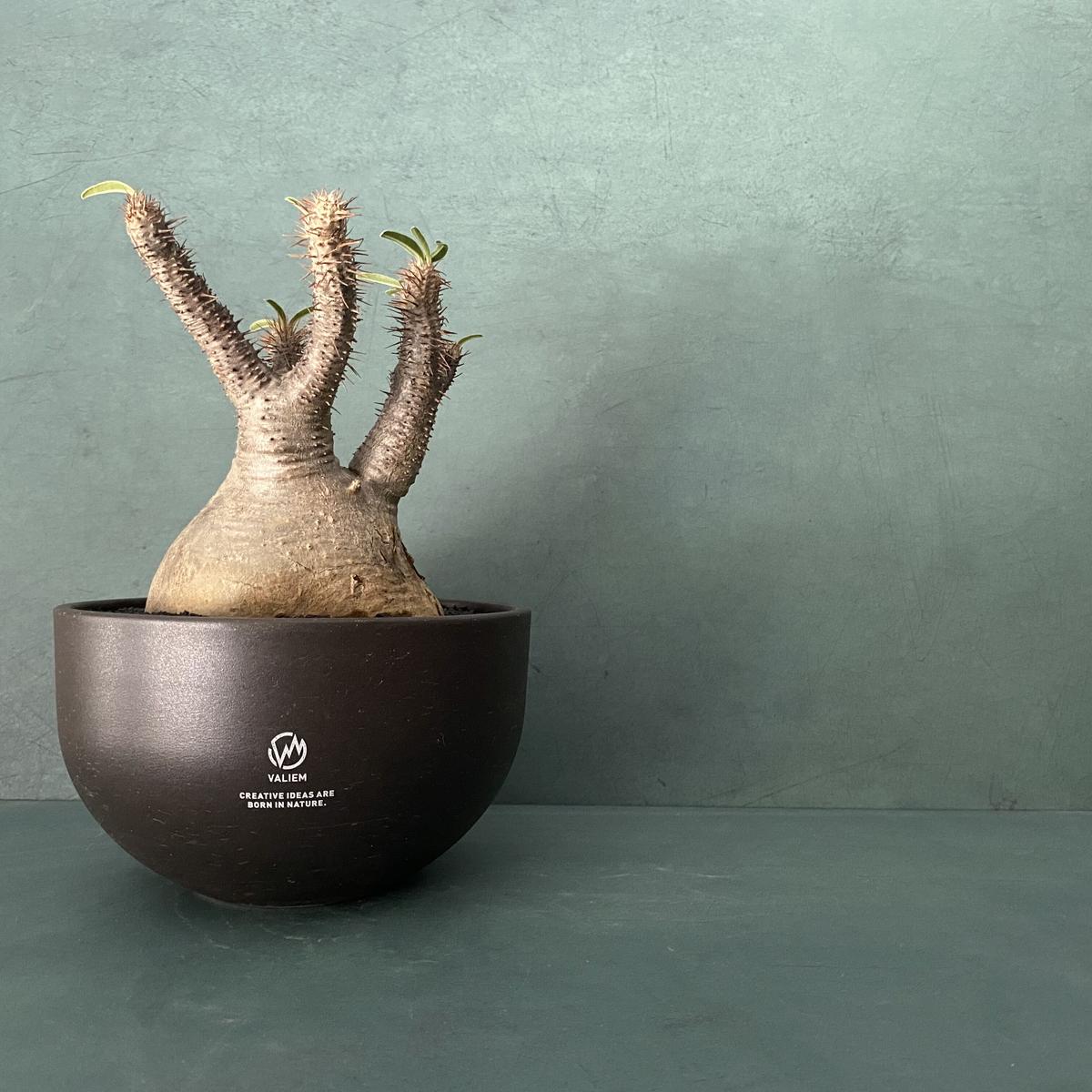 RUST PLAN アルミ鉢