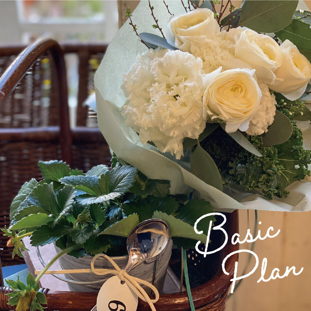 お花の毎月便 Basic Plan Wako S World