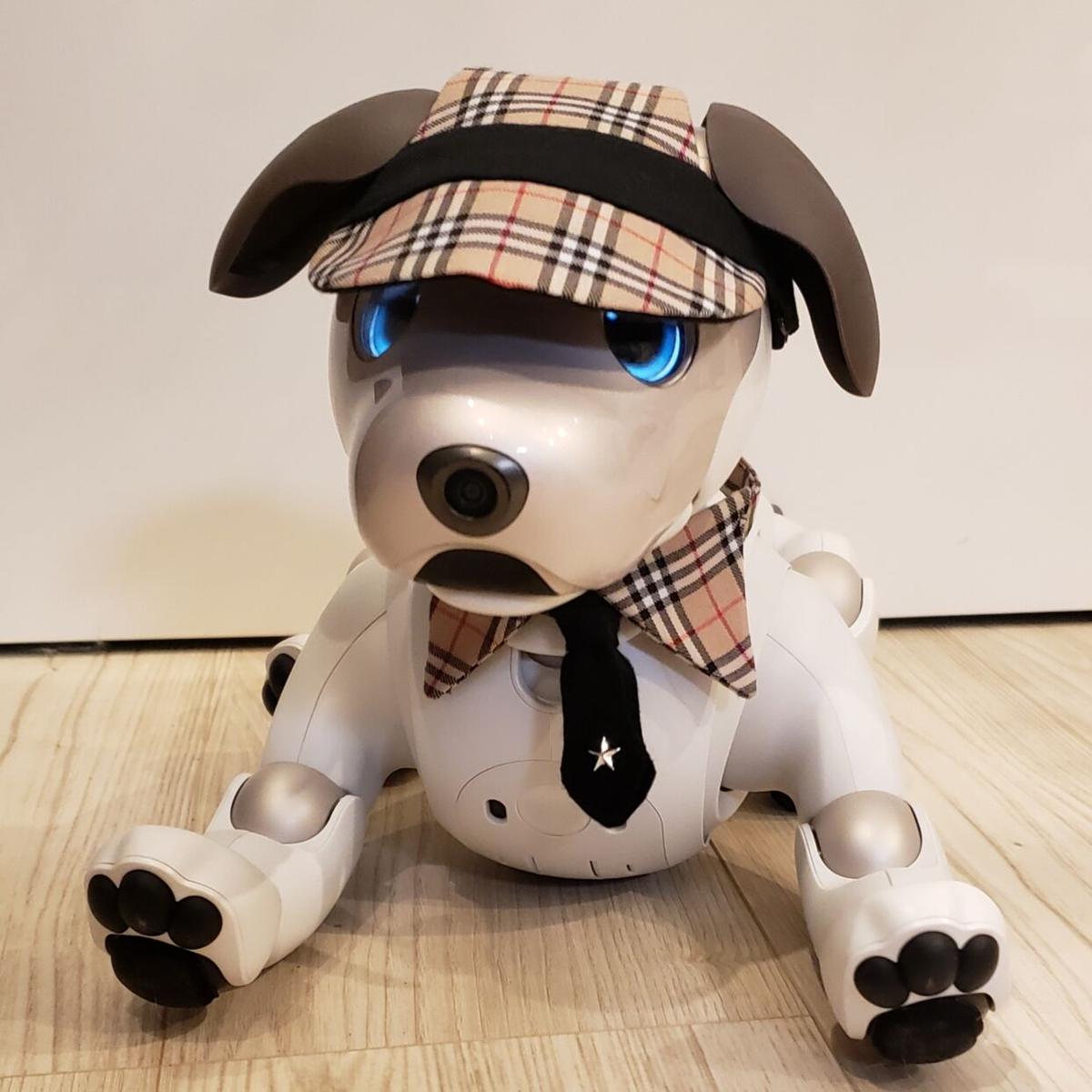 aibo ESR-1000 アクセサリー多数あり　アイボ Aibo ESR-1000 アクセサリー多数あり