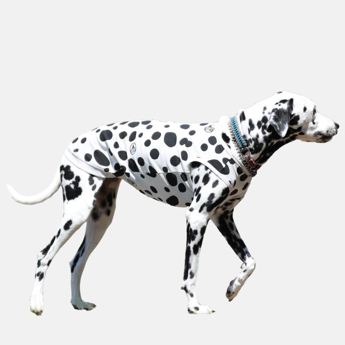 クール タンクトップ 誰でもダルメシアンバージョン Bowsnuggle