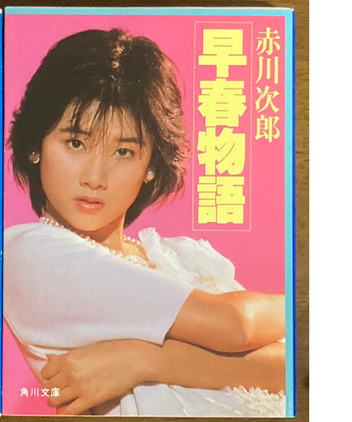 晴れ ときどき殺人 角川書店 赤川次郎 Dentamed Org 晴れ ときどき殺人 角川書店 赤川次郎 Dentamed Org