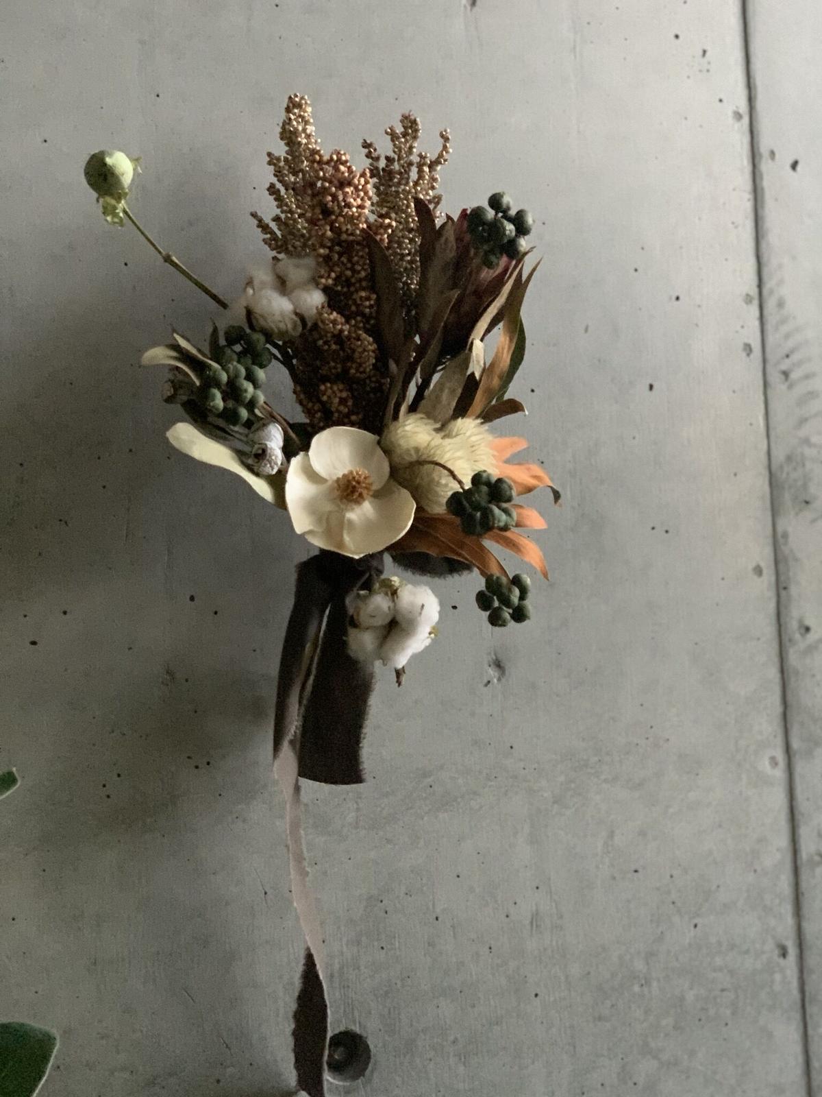 プロテア ロビンナチュラルドライフラワーナチュラル