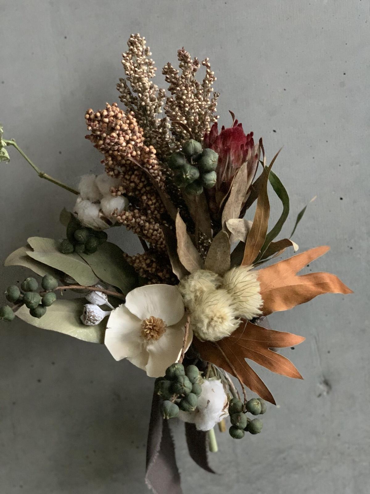 プロテア ロビンナチュラルドライフラワーナチュラル