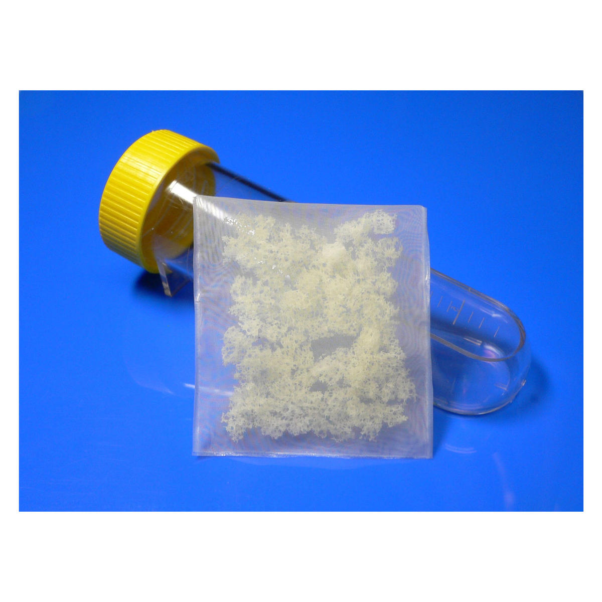 Maggot Bag 250 Biotherapy Medical online