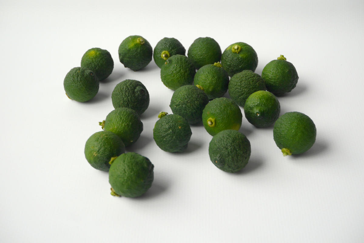 酢橘そば４人前セット 果生