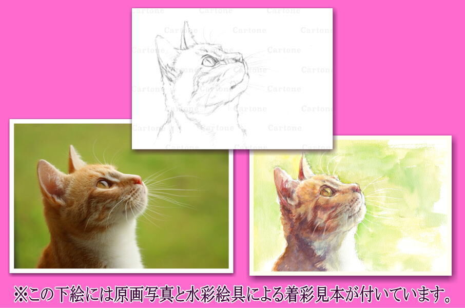 092d 見上げる猫の横顔 (着彩見本付き) | 下絵工房カルトーネ