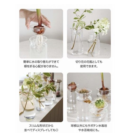 サボテンや多肉植物の水耕栽培に 大人気商品 Bulb Vase Long Casa Green