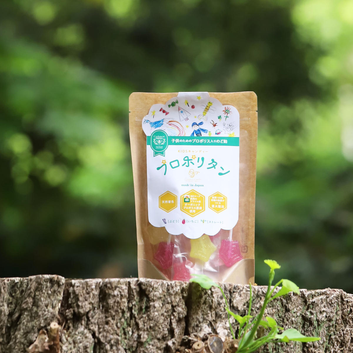 新感覚 こどものど飴kidsキャンディープロポリタン Cashmere Propolis