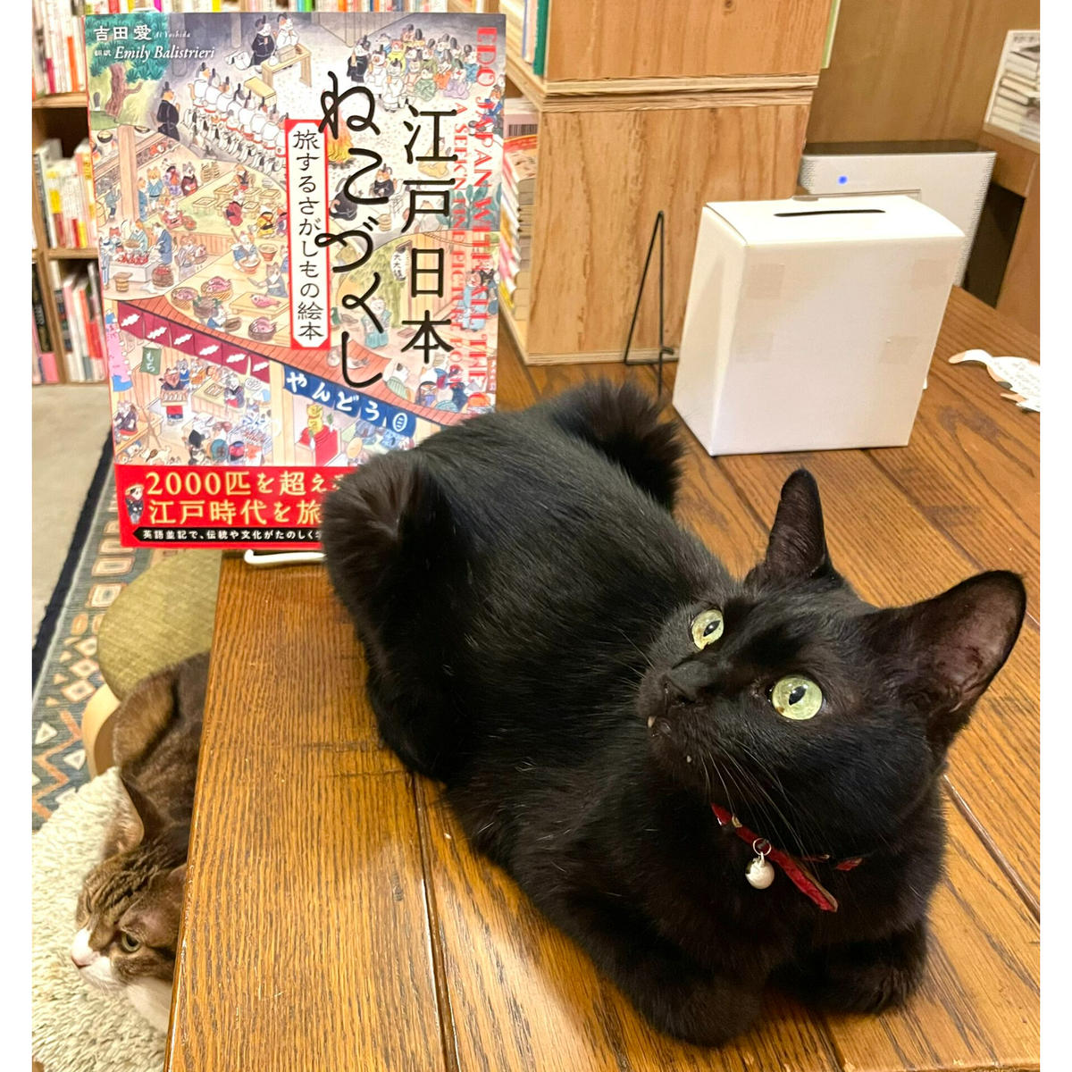 江戸日本 ねこづくし 旅するさがしものえほん Cat S Meow Books Virtu