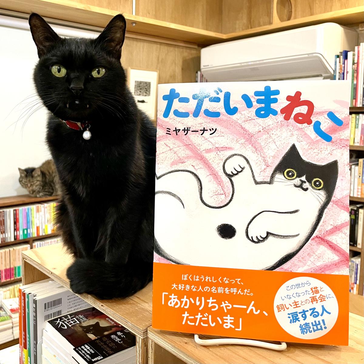 限定3000】100万回生きたねこ ぬいぐるみ&絵本［直筆サイン入り］ 100