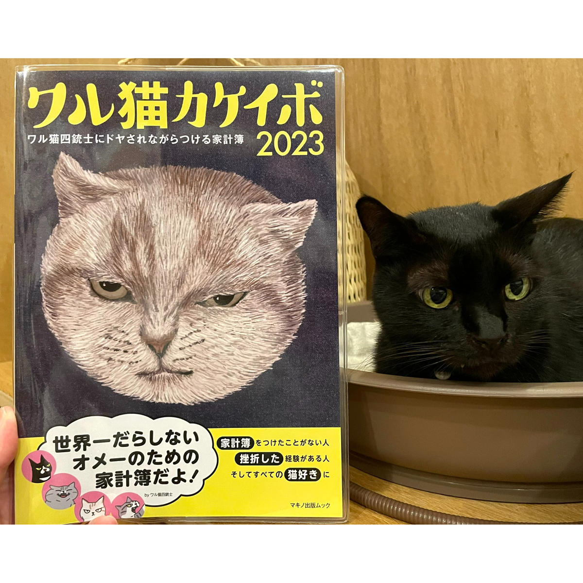 ワル猫カケイボ 23 Cat S Meow Books Virtual Shop B