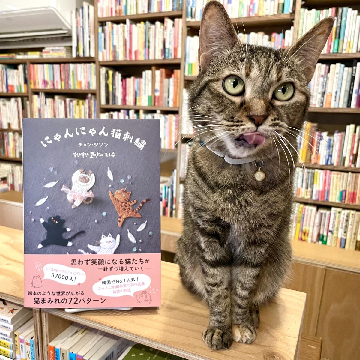 にゃんにゃん猫刺繍 Cat S Meow Books Virtual Shop B