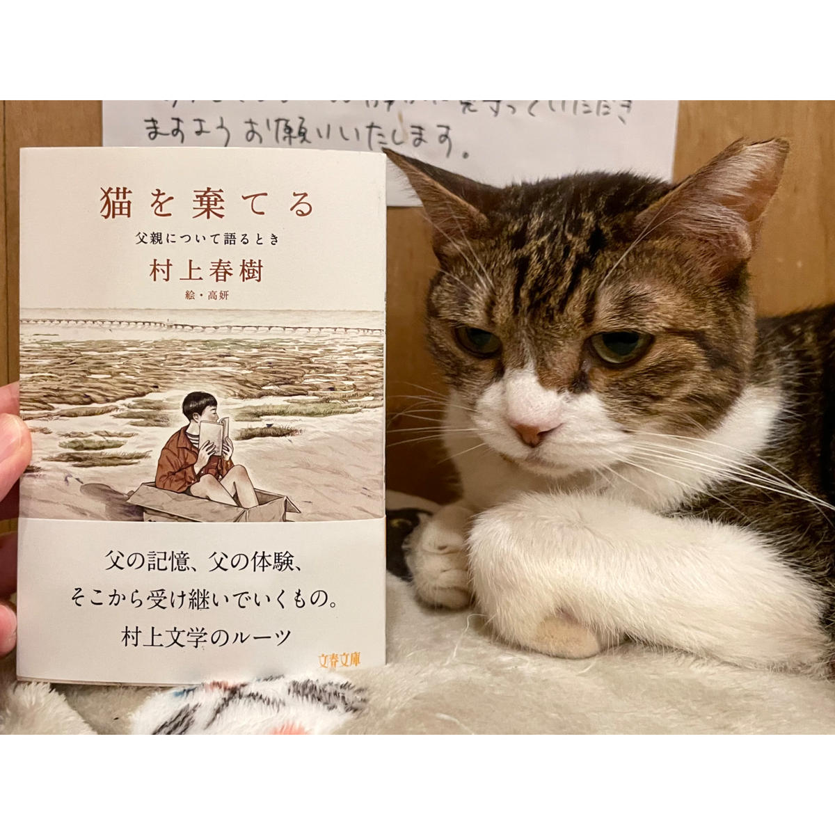 村上春樹 猫を棄てる サイン本 Amazon.co.jp: サイン本 村上春樹 猫を棄てる 父親について語る
