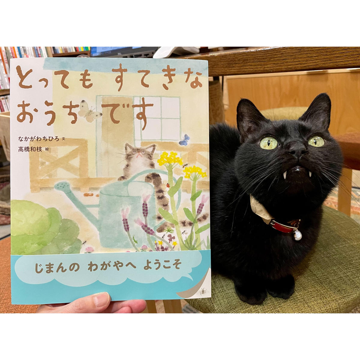 とってもすてきなおうちです Cat's Meow Books Virtual Shop β
