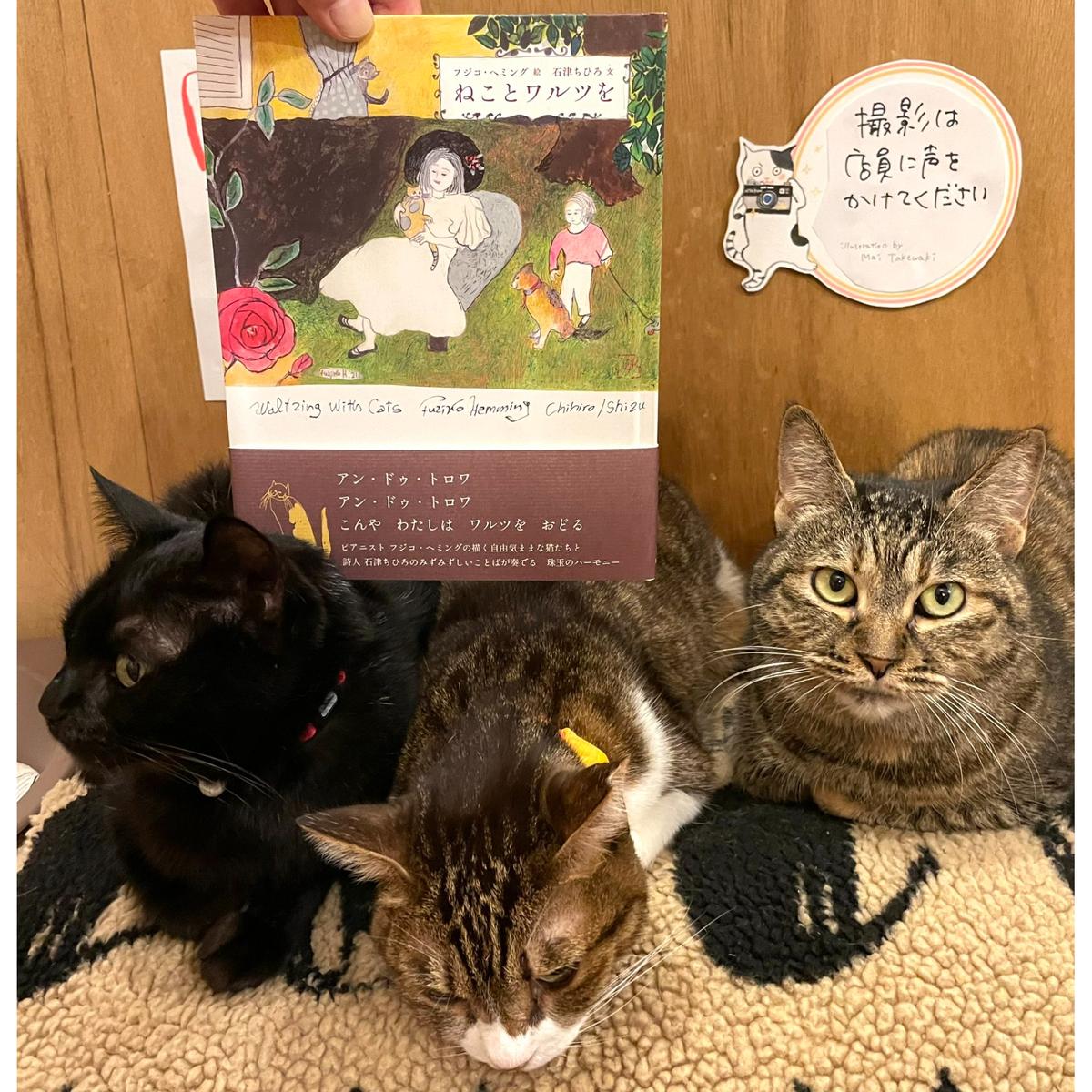 ねことワルツを | Cat's Meow Books Virtual Shop β