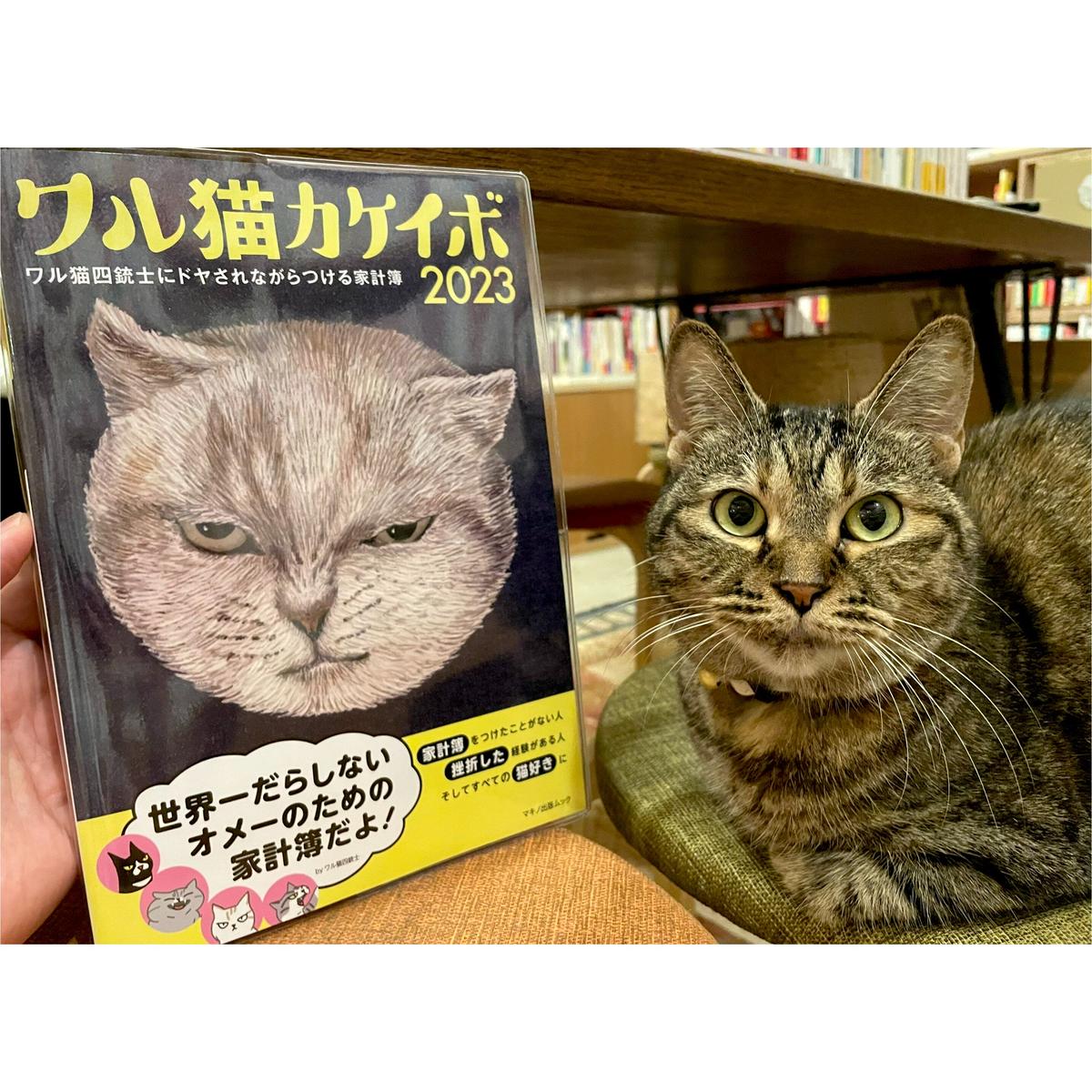 ワル猫カケイボ 23 Cat S Meow Books Virtual Shop B