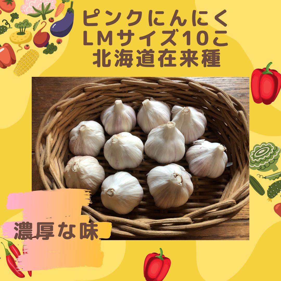ピンクにんにくmサイズ10こ 北海道在来品種 体にじわっとパワフル野菜 北の樹木農園