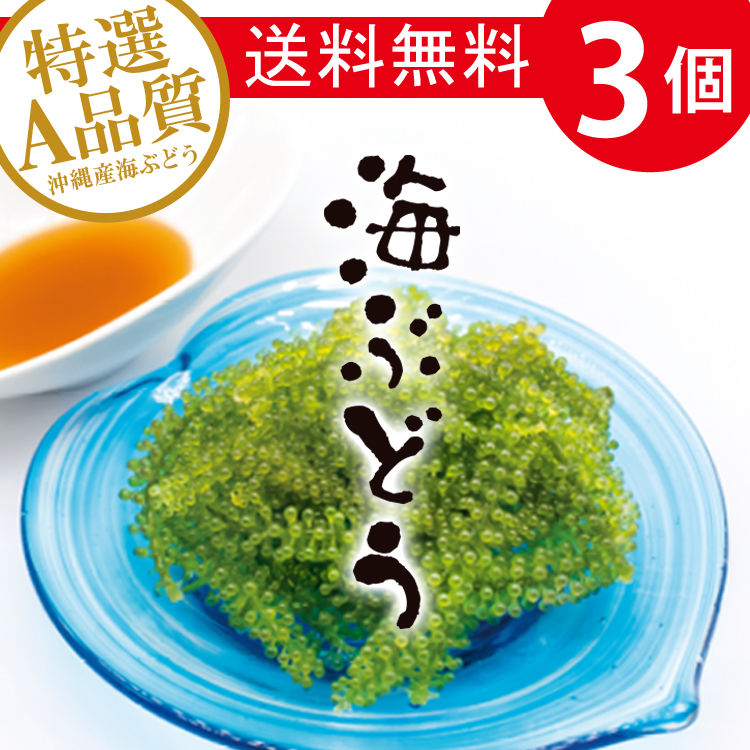 海ぶどう 3個 お試しセット コロナに負けるな 応援 沖縄県産 お土産 送料無料 食品ロス 海ぶどう 3個 お試しセット コロナに負けるな 応援 沖縄県産 お土産 送料無料 食品ロス