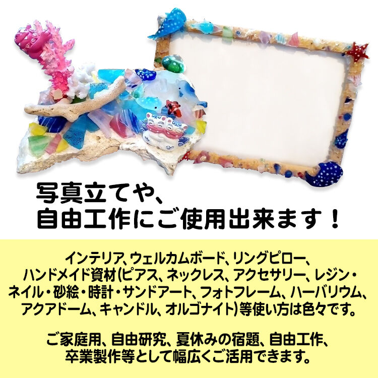 沖縄 星の砂絵 沖縄 星の砂絵