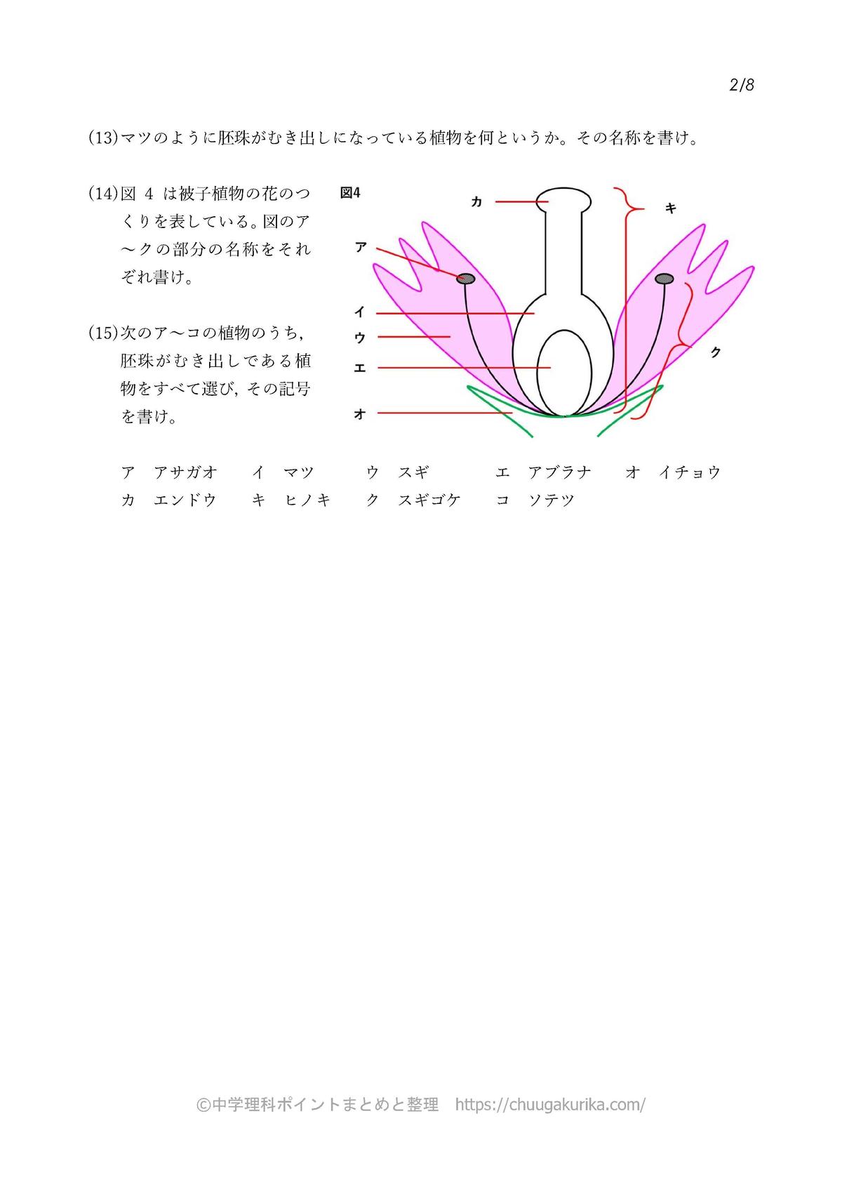 Pdf 花のつくり 被子 裸子 の暗記ドリル 中学理科ポイントまとめと整理 オンラインショップ